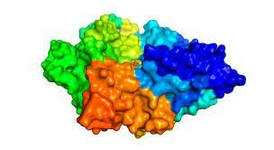 Enzimas descompositoras