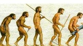 Timeline: Evolución de la administración