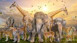 Timeline: LA CAUSA DE LA EXTINCIÓN DE ESPECIES