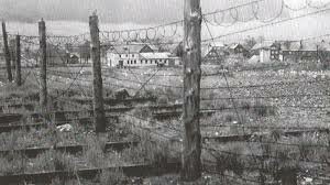 CREACION DEL MURO DE BERLIN