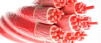 Nos permite movernos