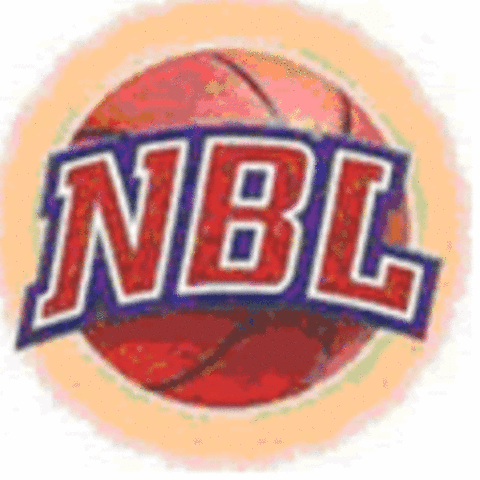 Primera liga profesional