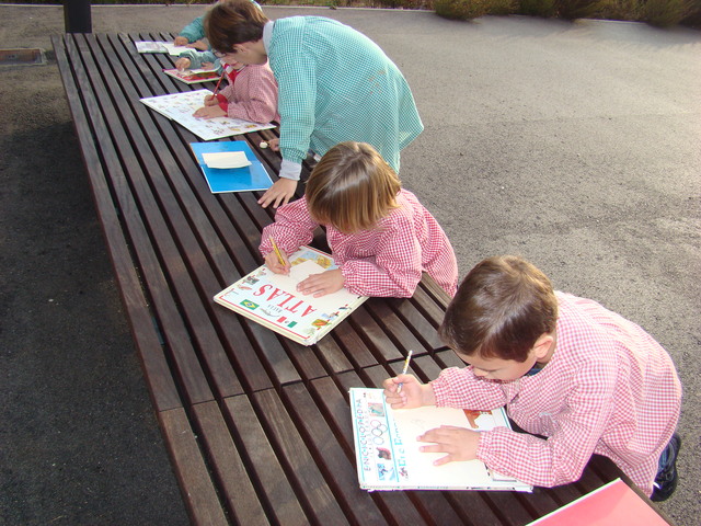 Sortim a fora de l’escola a fer de “Leonardos”…