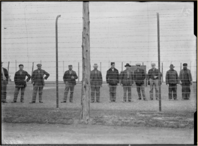 Canadians born in hostile countries are criticized and restricted in Canada. (Social and cultural change) (-2))