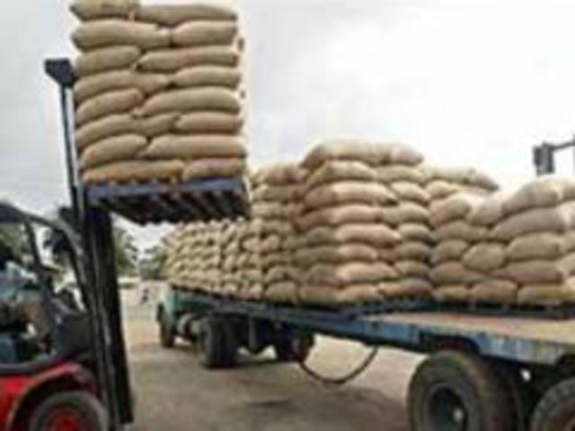 tranporting the beans