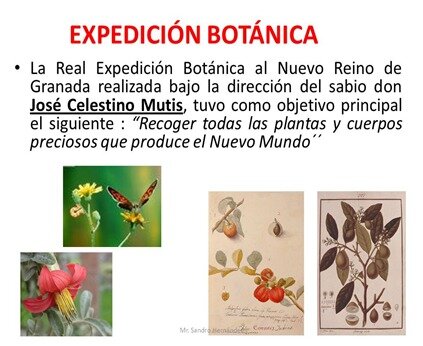 EXPEDICIÓN BOTÁNICA EN LA NUEVA GRANADA
