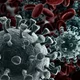 Coronavirus creativeneko shutterstock com