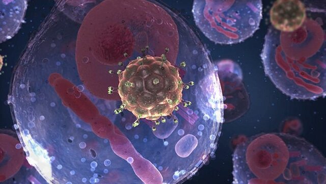 Virus de la inmunodeficiencia humana (VIH)