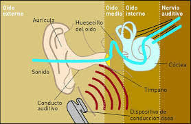 Resolución 8321 del 4 de Agosto de 1983