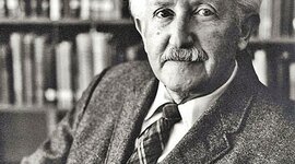 Timeline: Erikson's (Psychosocial Theory) Timeline