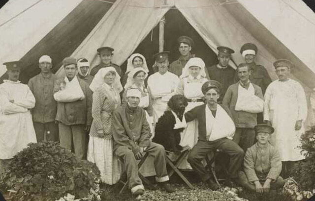 Nurses overseas(!)(+2)