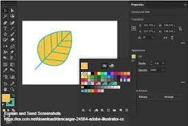 Adobe Illustrator (AI)