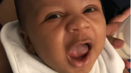 Timeline: Erikson Timeline (Levi)