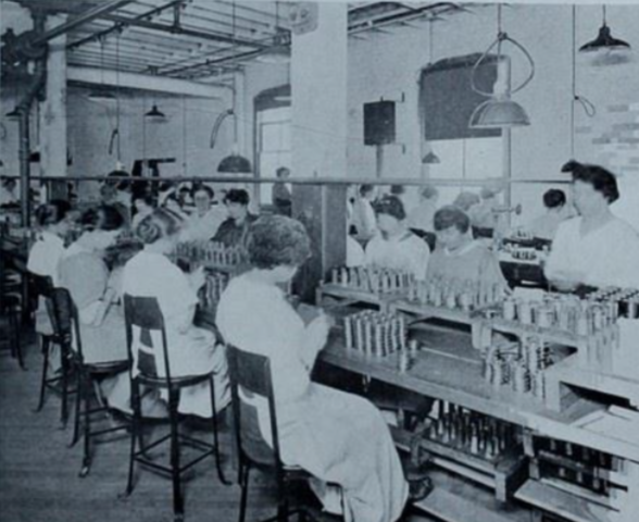 Women in the Workforce