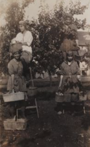 Farm Service Corps Program