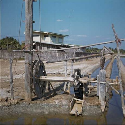 The Dragon Backbone Pump