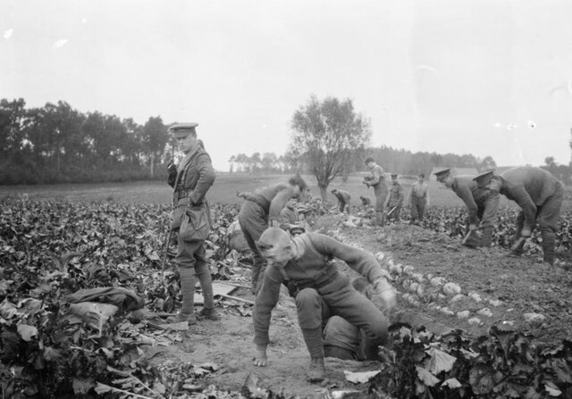 First Battle of Ypres