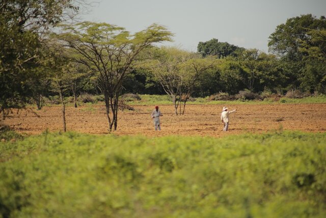 BANCO DE AGRICULTORES
