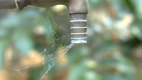 AGUA ALARMANTE