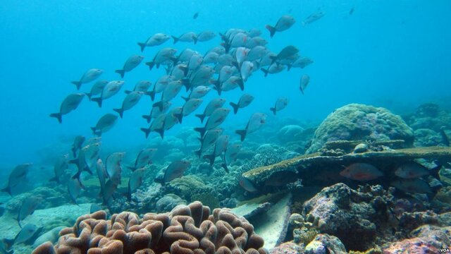 Resolucion 1912 de 2017