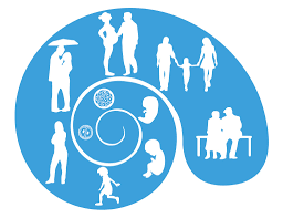 BROFENBRENNER, NEWMAN Y SULLIVAN.