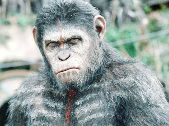 Создание гибрида человека и обезьяны учёными ИНЧ