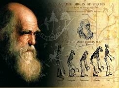 Sull'origine delle specie - Charles Darwin