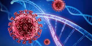 MODELO EPIDEMIOLÓGICO