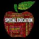Special education