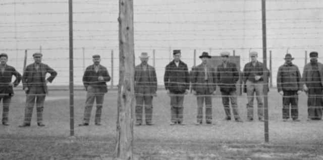 ☮ Enemy Aliens and the Home Front (-2)