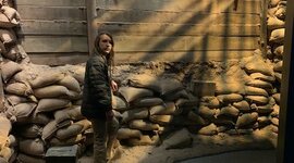 Timeline: WW1: Americas reasons