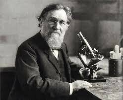 Elie Metchnikoff