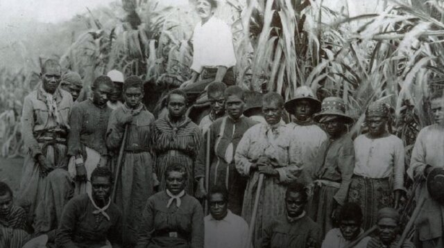 South Sea islander are kidnapped and forced to work manual labor.