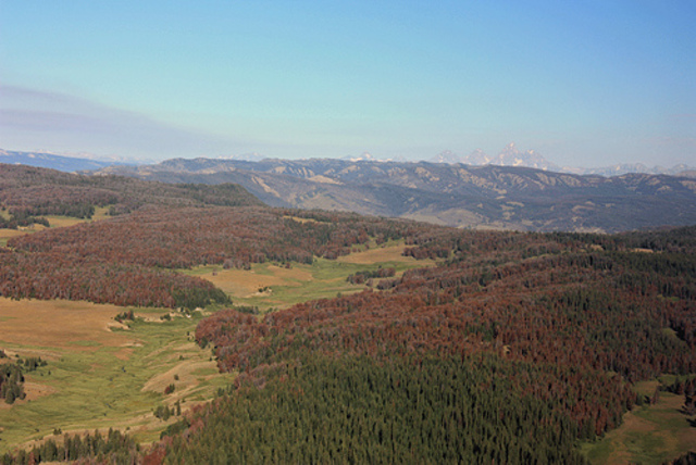 Professor Sherman See's Land