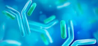 Jules Hoffman, Bruce Beutler, Ralph Steinman