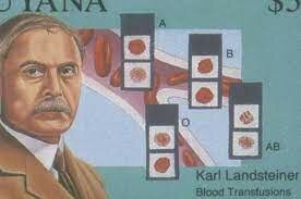Karl Landsteiner