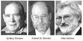 Sydney Brenner - H. Robet Horvitz - J. E. Sulston