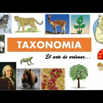 Timeline: HISTORIA DE LA CLASIFICACION TAXONÓMICA