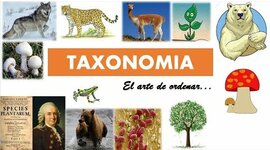 Timeline: HISTORIA DE LA CLASIFICACION TAXONÓMICA
