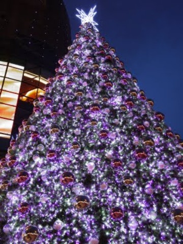 CHRISTMAS with grandkids