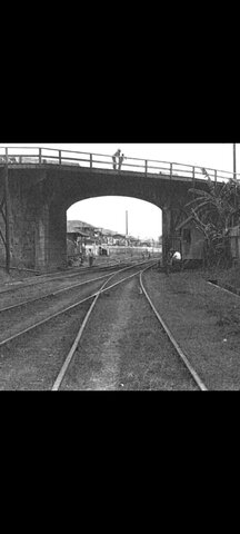 Batalla Del Puente De Calidonia