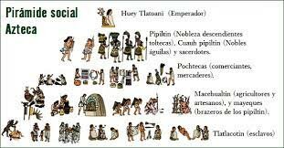 ORGANIZACION POLITICA