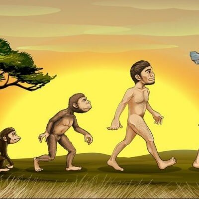 Timeline: Evoluciòn del Hombre