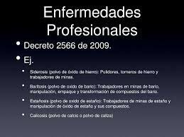 Decreto 2566 de 2009
