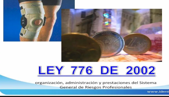 LEY  776 DE 2002