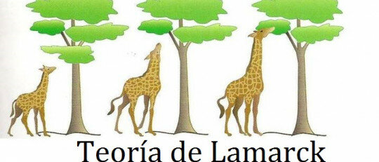 Teoría de Lamarck