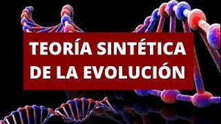 Teoría Sintética o “Neodarwinista Moderna”