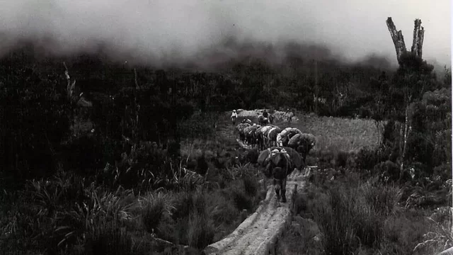 Surgimiento de las guerrillas contemporáneas~ARCHIVO BBC (2016, 24 agosto) El inicio del conflicto con las FARC marcó el fin del período conocido como La Violencia. [Fotografía] BBC NEWS https://www.bbc.com/mundo/noticias-america-latina-37181413