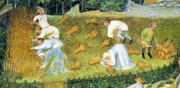 Primeros agricultores