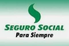 Instituto de Seguros Sociales.